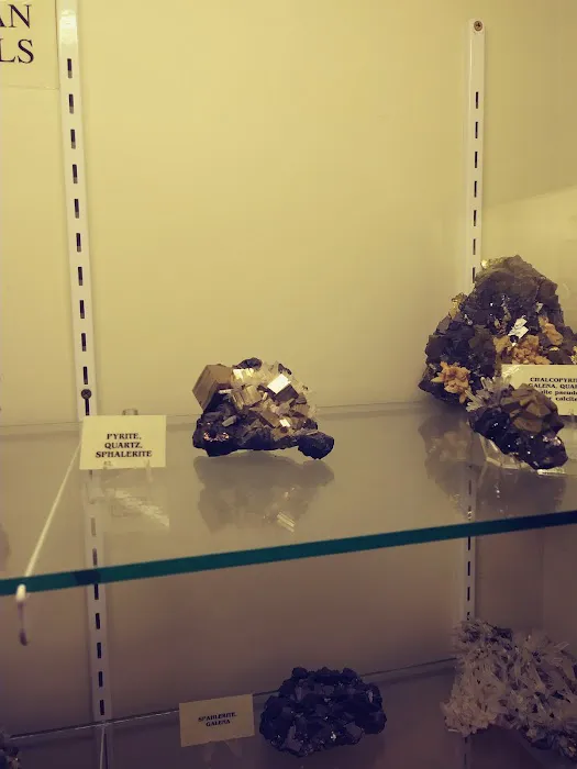 Everything Prehistoric 7