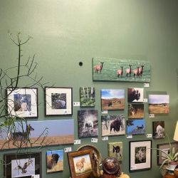 Deep Creek Gallery ico