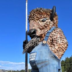 Custer South Dakota ico