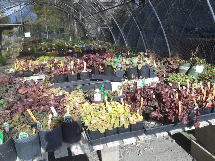 Millcreek Gardens 1