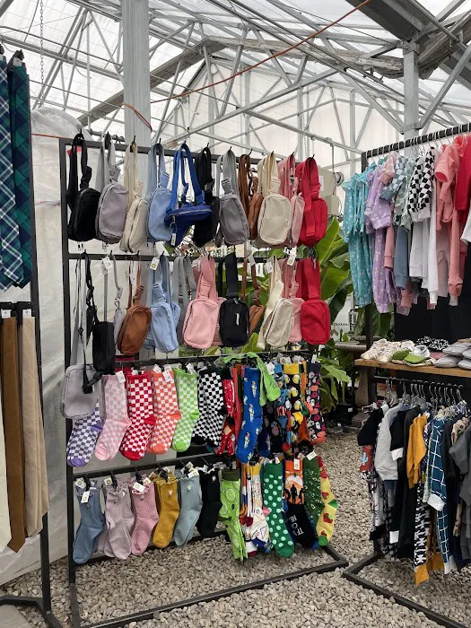 Battle Creek Boutique 9