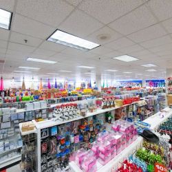 Diddams Party & Toy Store ico