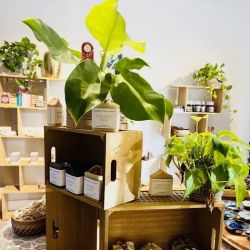 Pure Living Co. ico