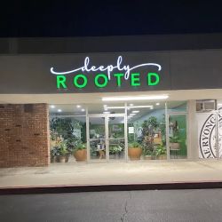 Deeply Rooted ico