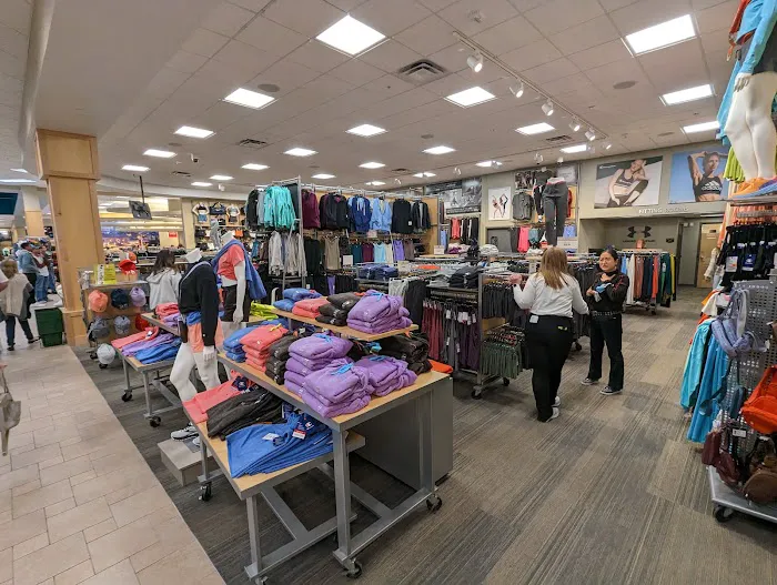 Scheels 1
