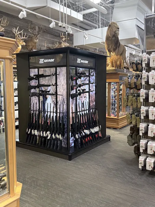 Scheels 0