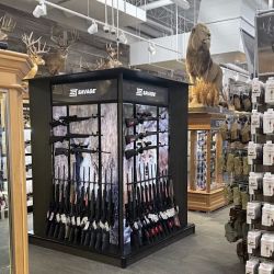 Scheels ico