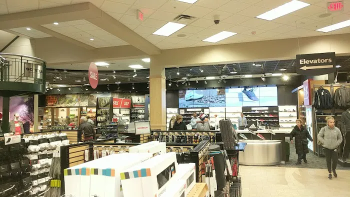 Scheels 5