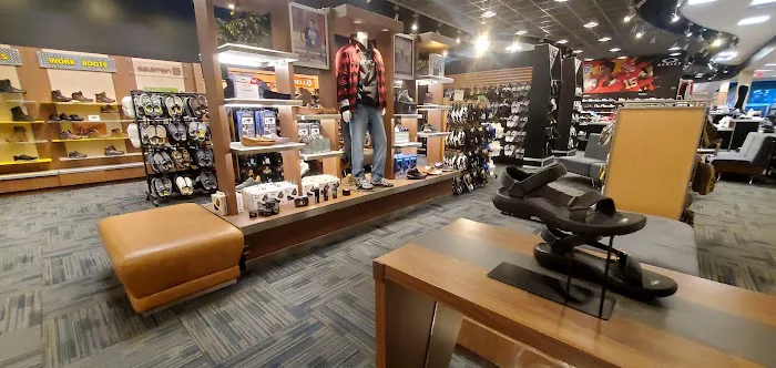 Scheels 3