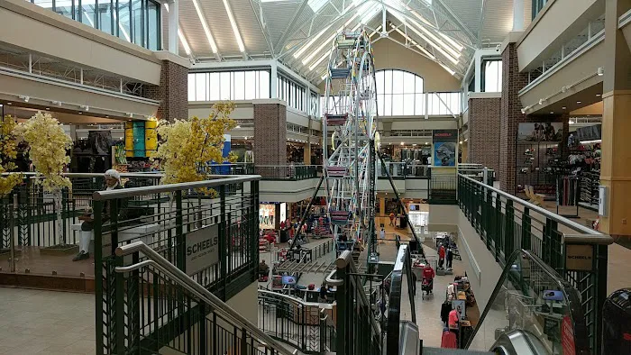 Scheels 6