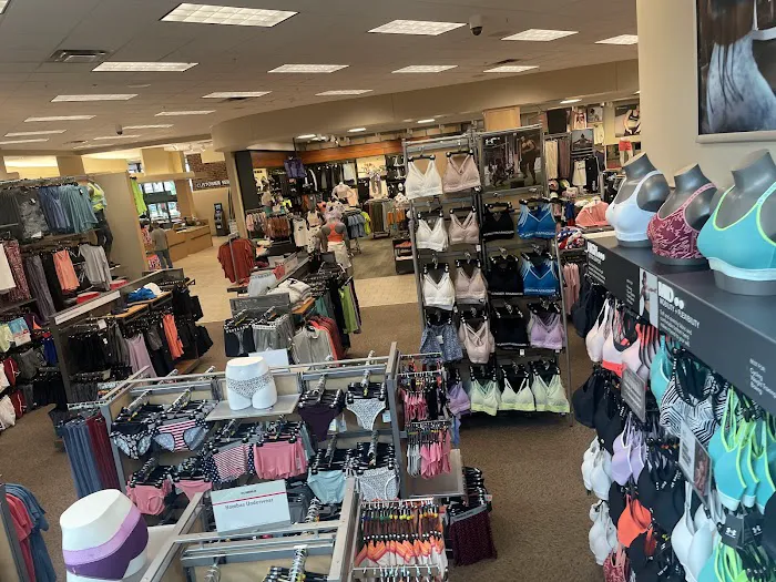 Scheels 8