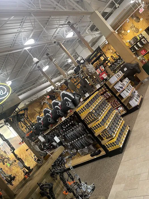 Scheels 4
