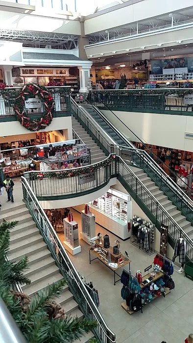 Scheels 9