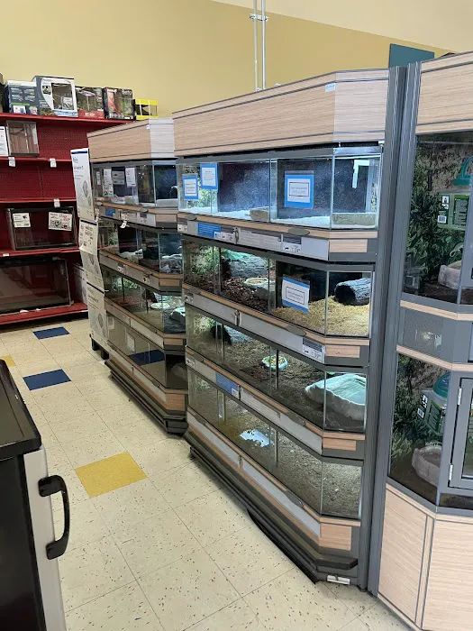 Petco 0