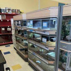 Petco ico