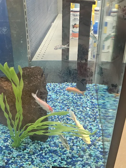 Petco 7
