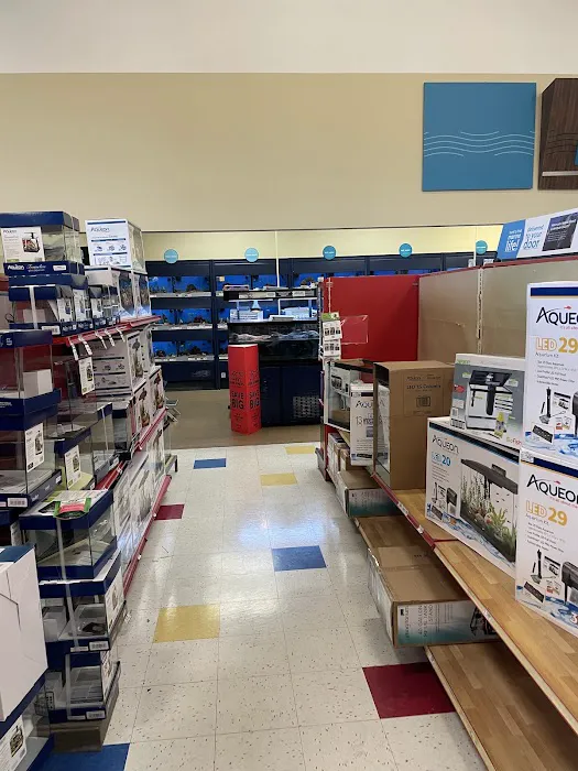 Petco 4