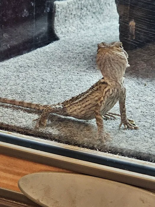 Petco 5