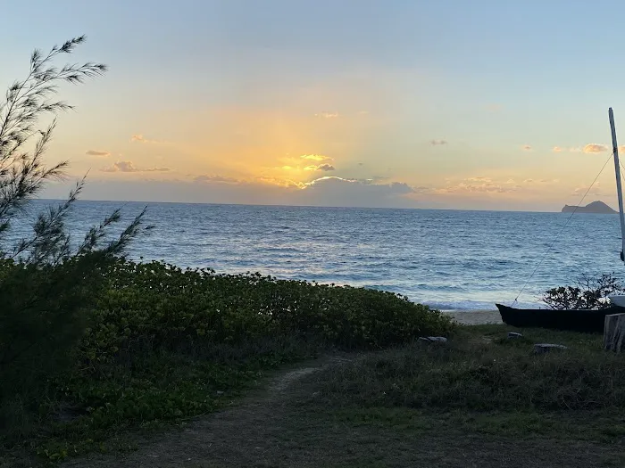 Turtle Cove 0