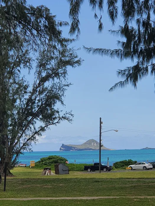 Turtle Cove 7