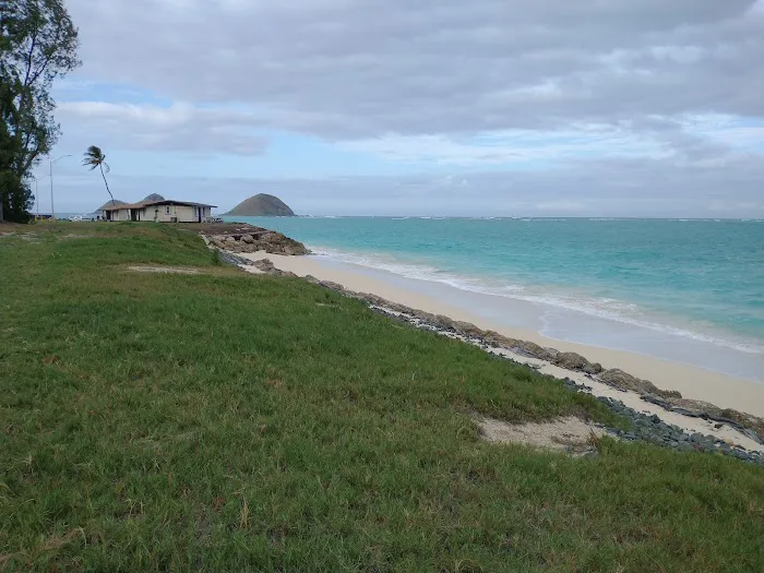 Turtle Cove 8