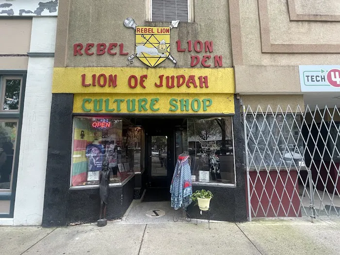 The Rebel Lion Den 4