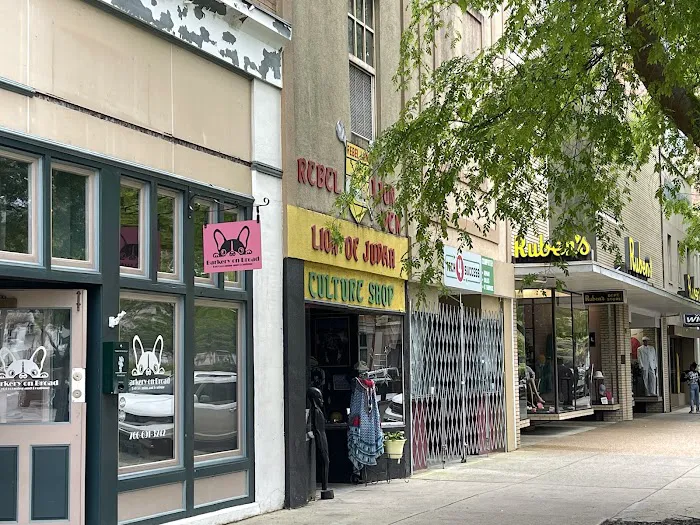 The Rebel Lion Den 0