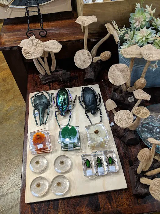 Earthbound Trading Co 2