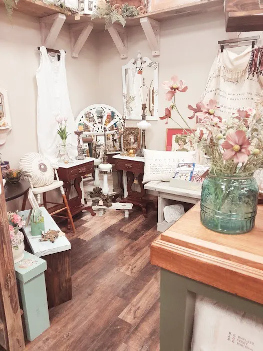 Lazy Daisy Gift Store 0