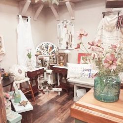 Lazy Daisy Gift Store ico