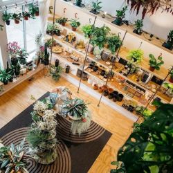 Proper Goods ico