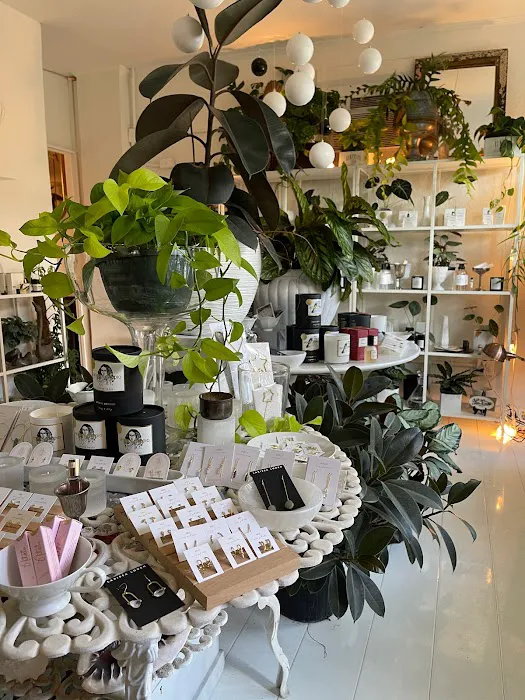 REMEDIES PARLOR 7