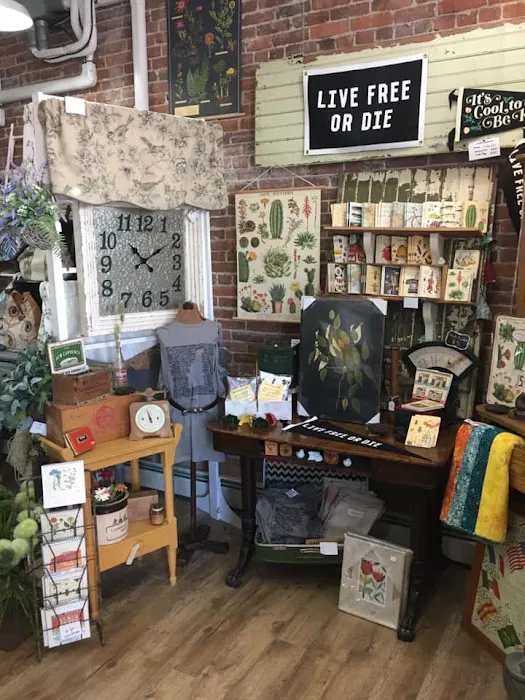 The Nest Vintage & Home 2