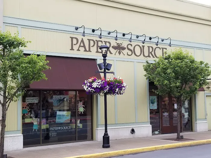 Paper Source 5