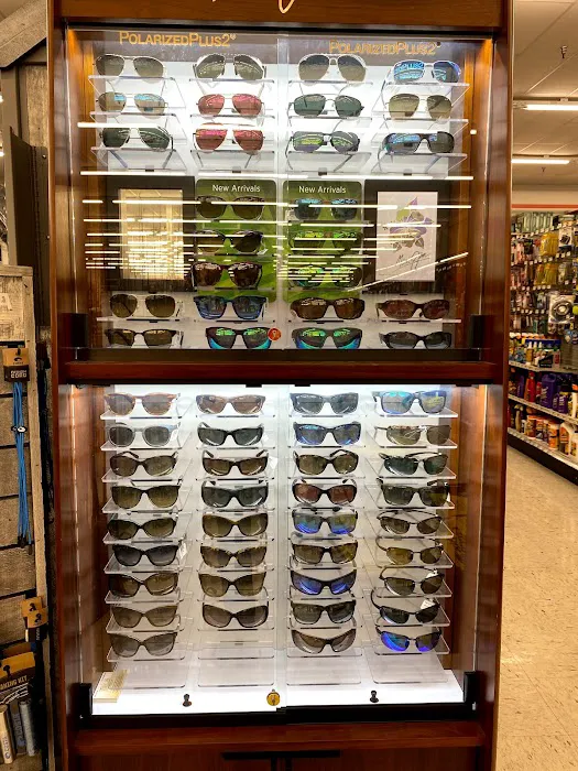 Sunshine Ace Hardware - East Naples 9