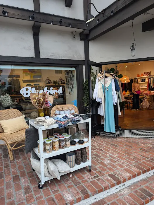 Bluebird Mercantile 0