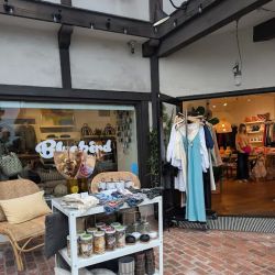 Bluebird Mercantile ico