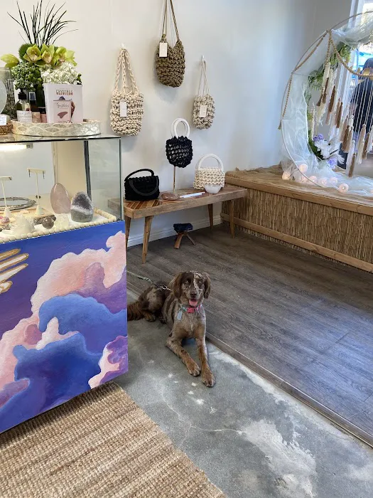 Experience Divine Vibes 2
