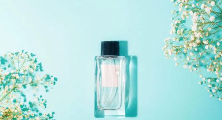 Best Perfumes for a Warm, Inviting Scent – Top Fragrances to Create a Cozy Atmosphere
