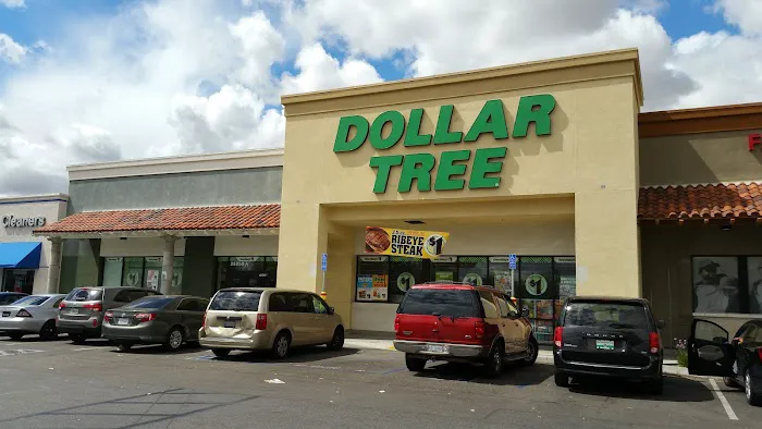 Dollar Tree 1