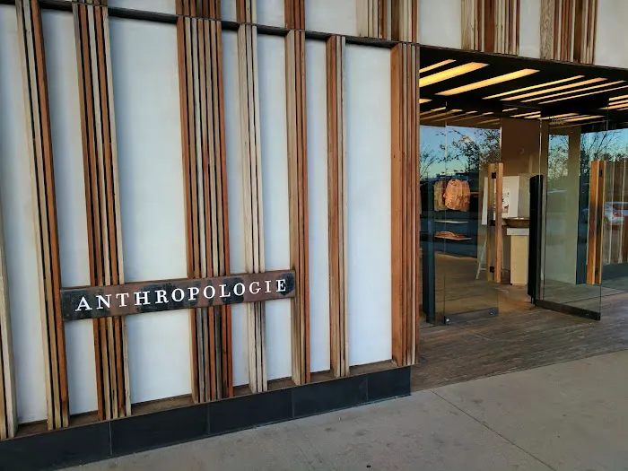Anthropologie 0