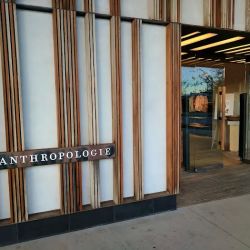 Anthropologie ico