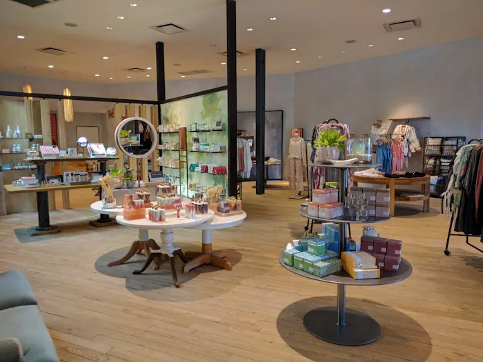 Anthropologie 2