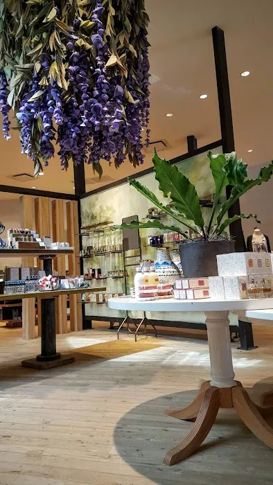 Anthropologie 1