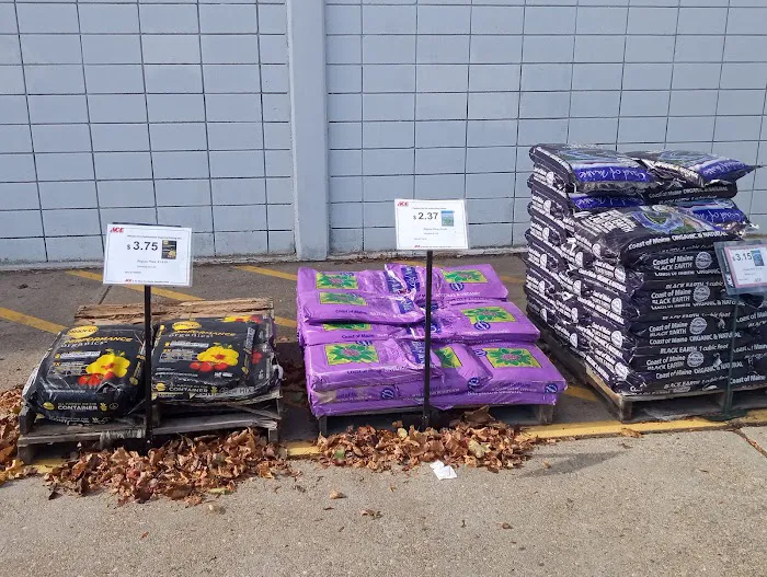Ace Hardware of Waterford 5