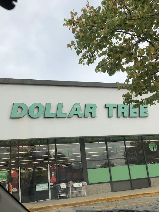 Dollar Tree 3