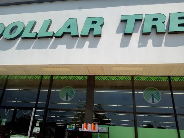 Dollar Tree 8
