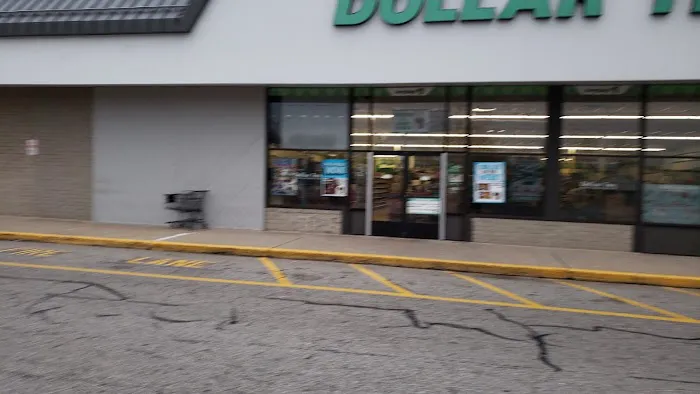 Dollar Tree 6