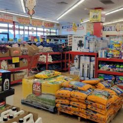 Ollie's Bargain Outlet ico