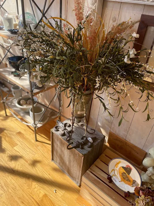 Driftwood of Old Saybrook: Unique Gifts & Home Decor 3